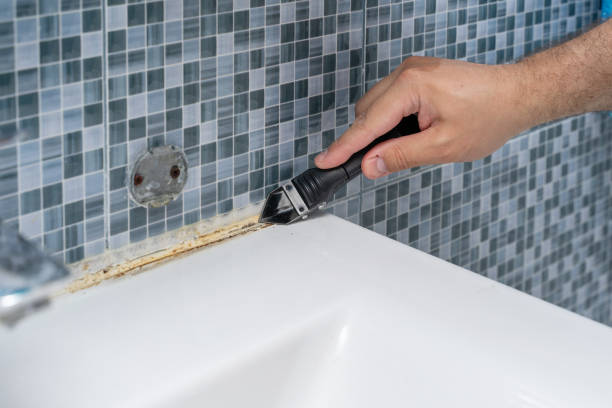 Best Residential Mold Remediation in Bass Lake, IN